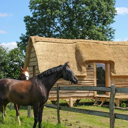 David Hockney * Saint-Germain-d'Aunay