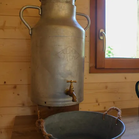 David Hockney منتزه العطل