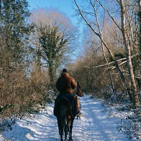 منتزه العطل David Hockney Saint-Germain-d'Aunay