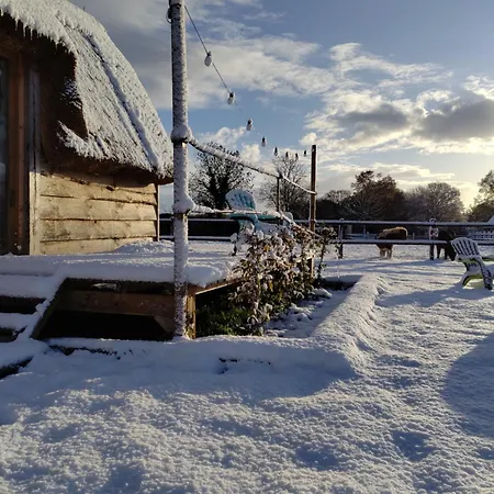 David Hockney منتزه العطل *