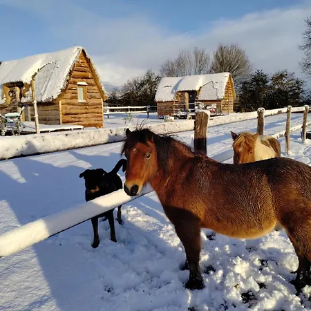 David Hockney منتزه العطل