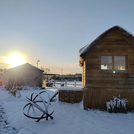 منتزه العطل David Hockney