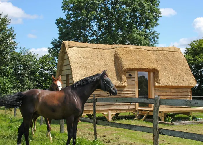 David Hockney * Saint-Germain-d'Aunay