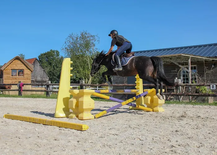 Holiday park David Hockney Saint-Germain-d'Aunay