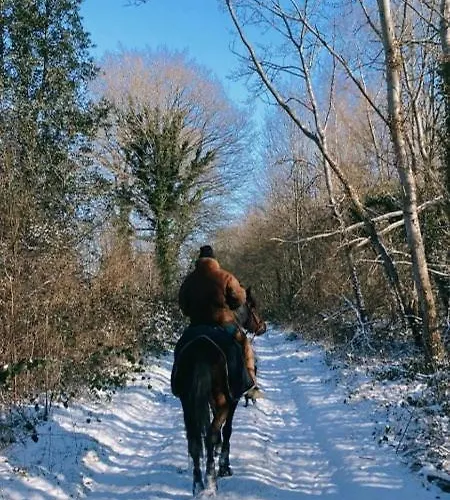 Holiday park David Hockney Saint-Germain-d'Aunay