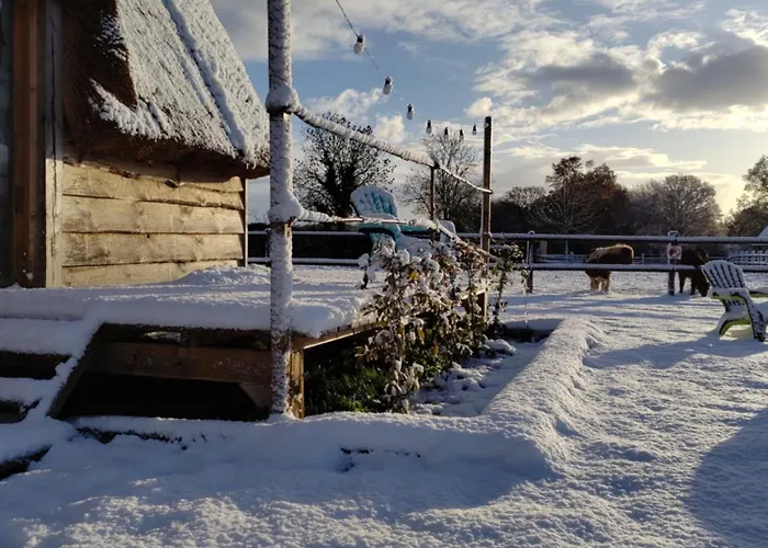 David Hockney Holiday park *