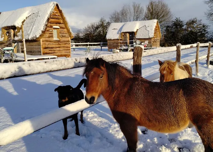 David Hockney Holiday park