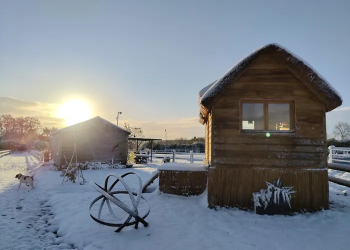 Holiday park David Hockney